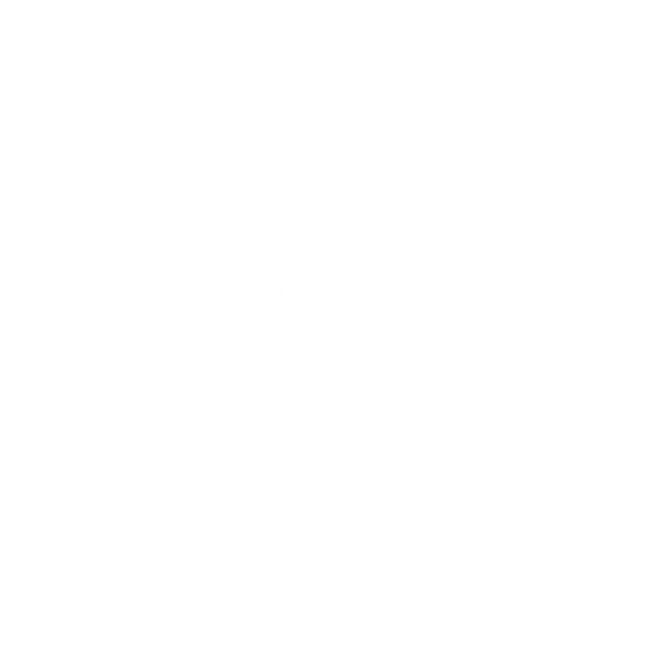 Brazy Inc 